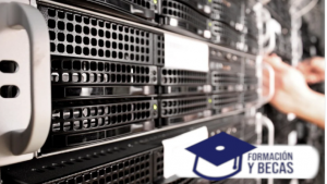 curso de manejo de bases de datos