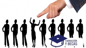 carreras para productores